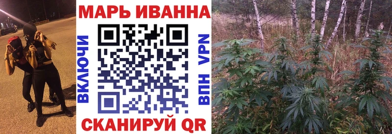 Бошки Шишки сатива  Купить закладки  Моршанск 